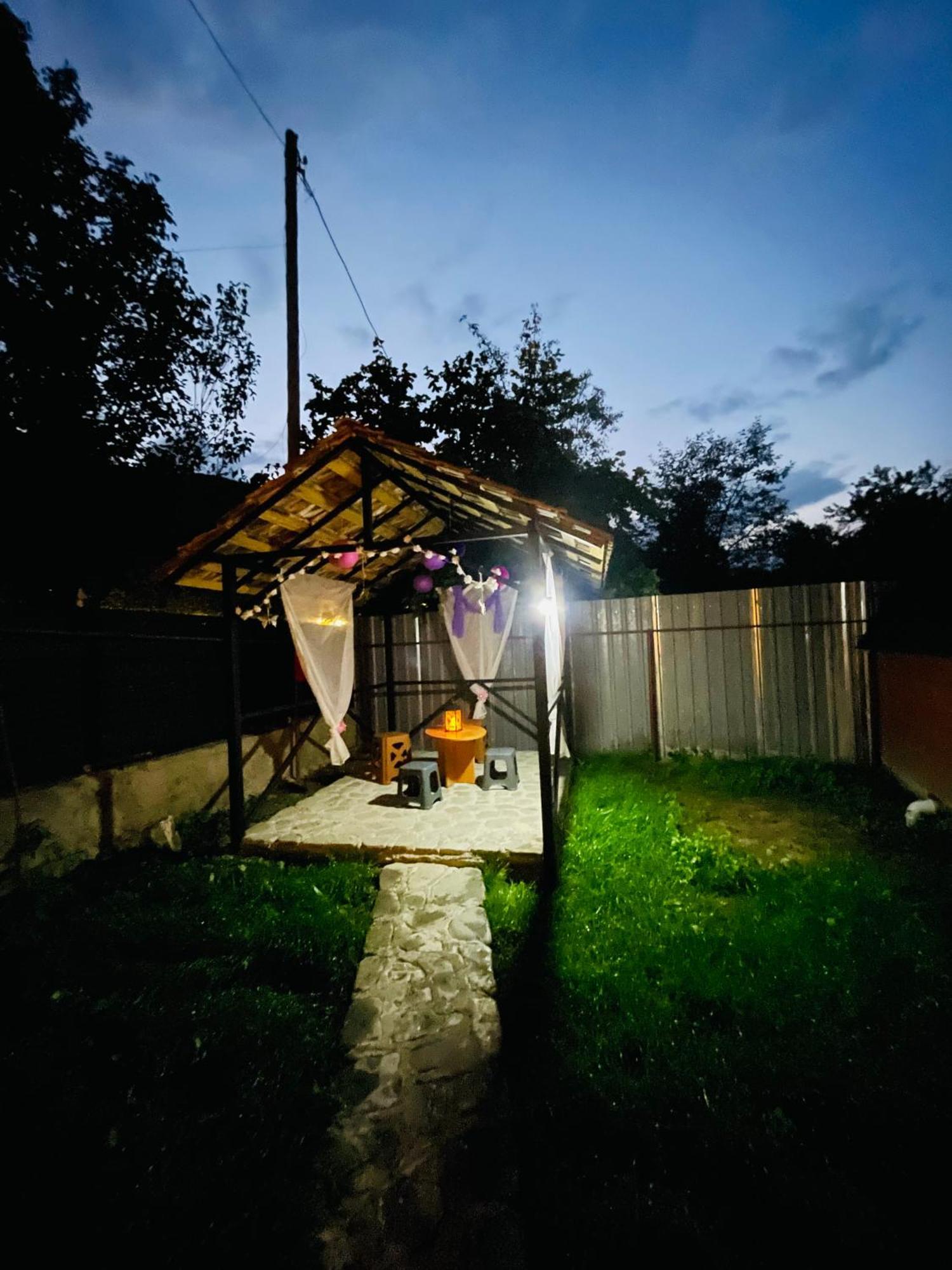 Mountain - Ananuri Apartment